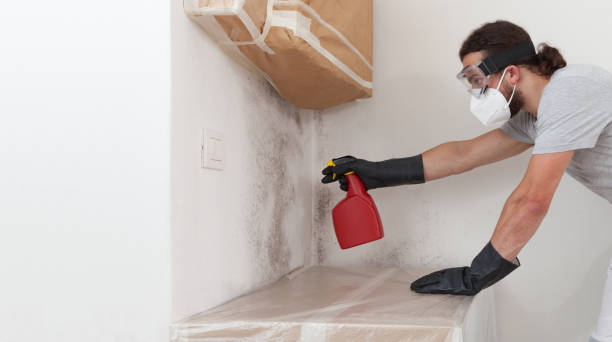 Professional Hvac And Air Duct Mold Remediation technician working in Carteret, NJ